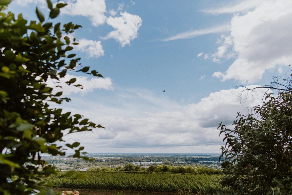 Laubenheimer Höhe Mainz Aussicht