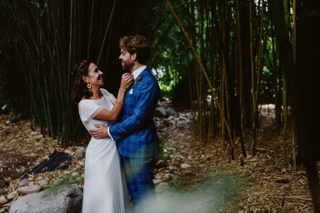 Bambus Palmengarten Frankfurt