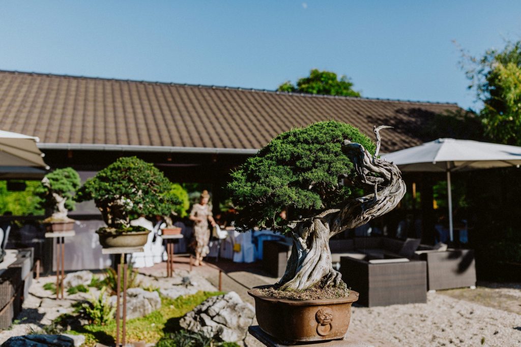 Bonsaizentrum Heidelberg Hochzeit